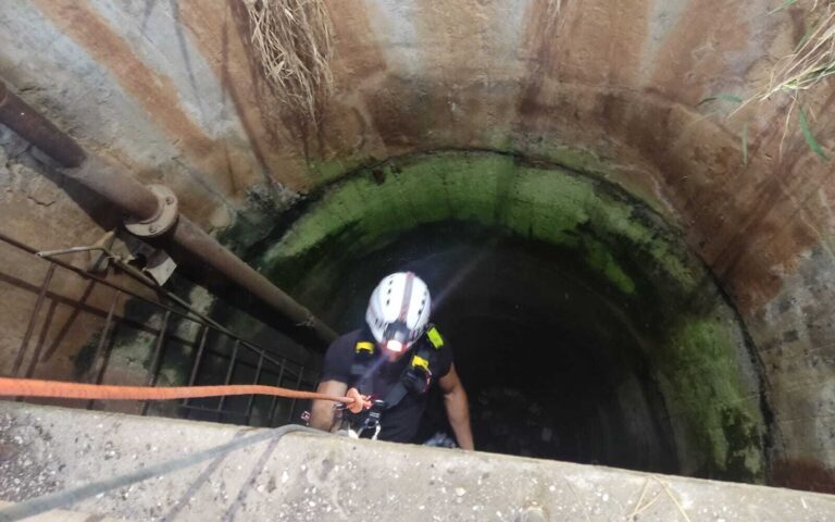 Three-year old girl survives 50-foot fall.