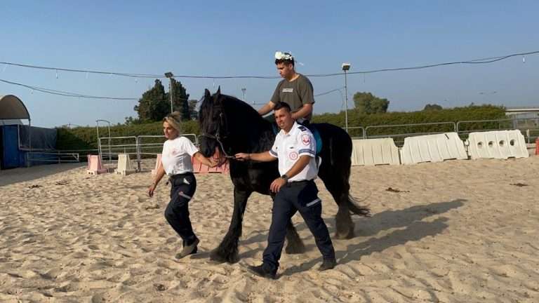 Wish Ambulance fulfills a boy’s dream to go horseback riding again.